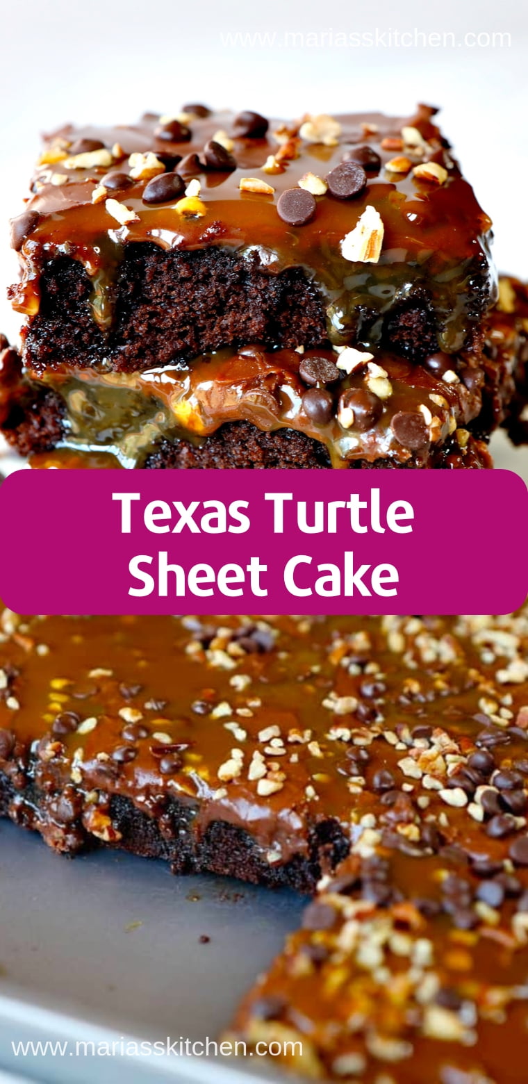 Best Ever Texas Turtle Sheet Cake Recipe Maria s Kitchen