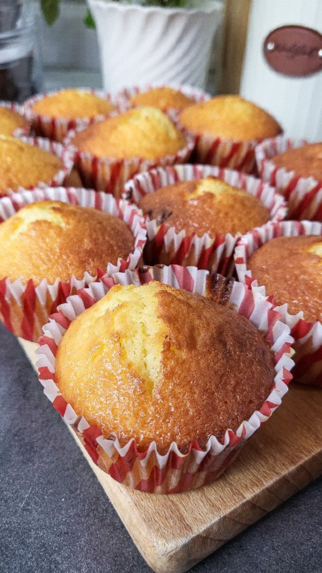 Chocolate Chip Muffins 