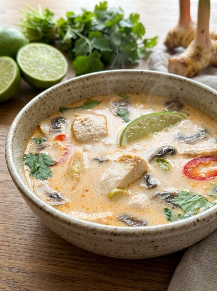 Thai Coconut Chicken Soup – Simple Recipe With Chicken Broth for Cozy Fall & Winter Dinner Idea
